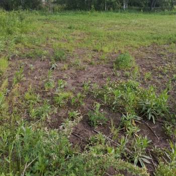 Продается Участок, 1500 м²