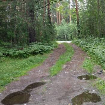 Продается Участок, 1350 м²