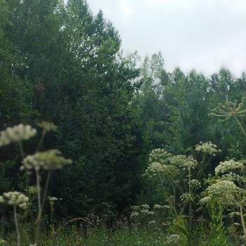 Продается Участок, 1350 м²