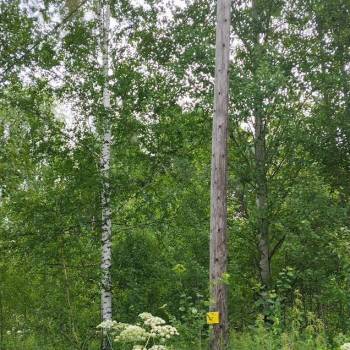 Продается Участок, 1350 м²