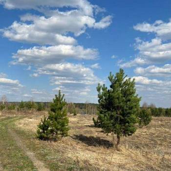 Продается Участок, 1000 м²