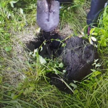 Продается Участок, 1000 м²