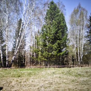 Продается Участок, 1000 м²