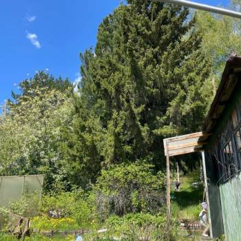 Продается Дом, 20 м²