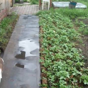 Продается Дом, 74,4 м²