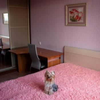 Сдается Многокомнатная квартира, 82 м²