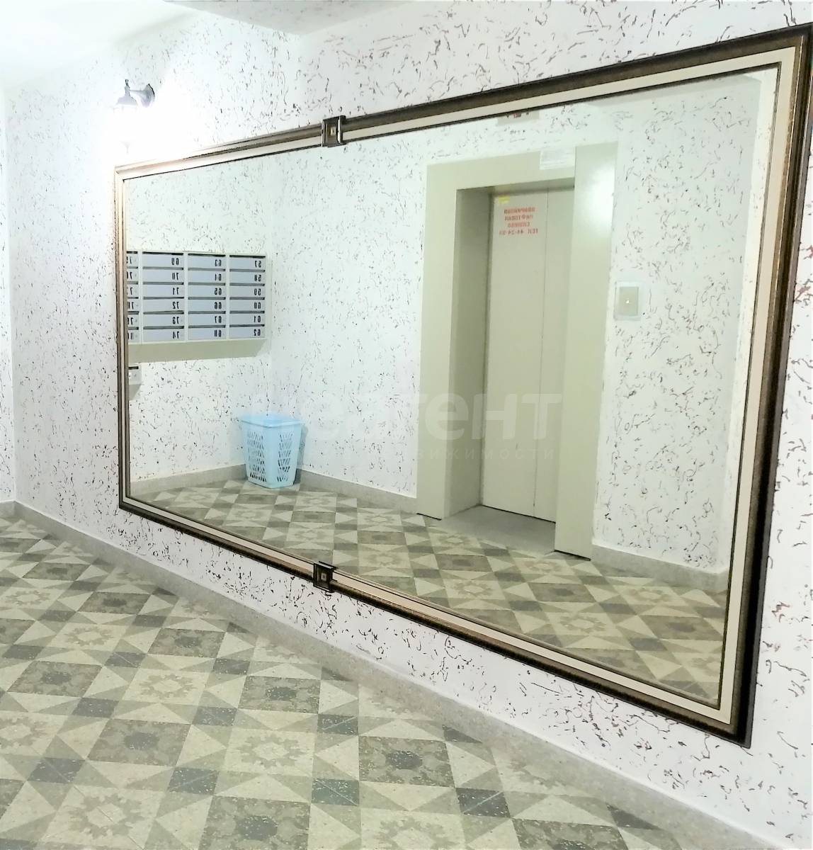 Фотография №11