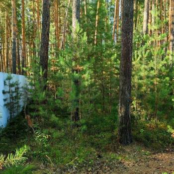 Продается Участок, 600 м²