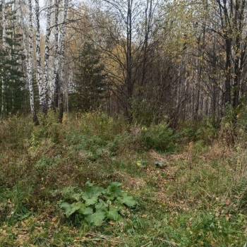 Продается Участок, 1130 м²