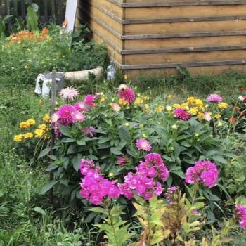 Продается Участок, 600 м²