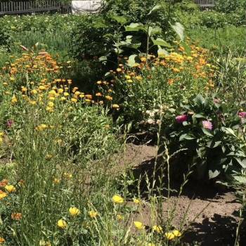 Продается Участок, 600 м²