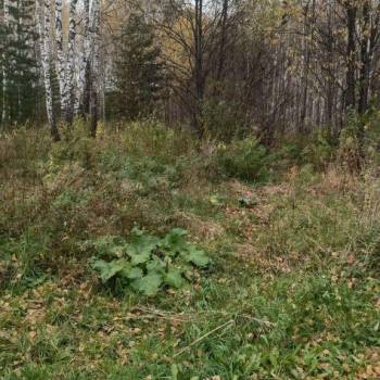 Продается Участок, 1100 м²