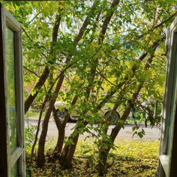 Продается Участок, 624 м²