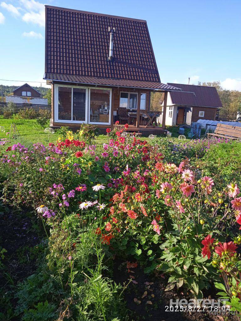 Фотография №3