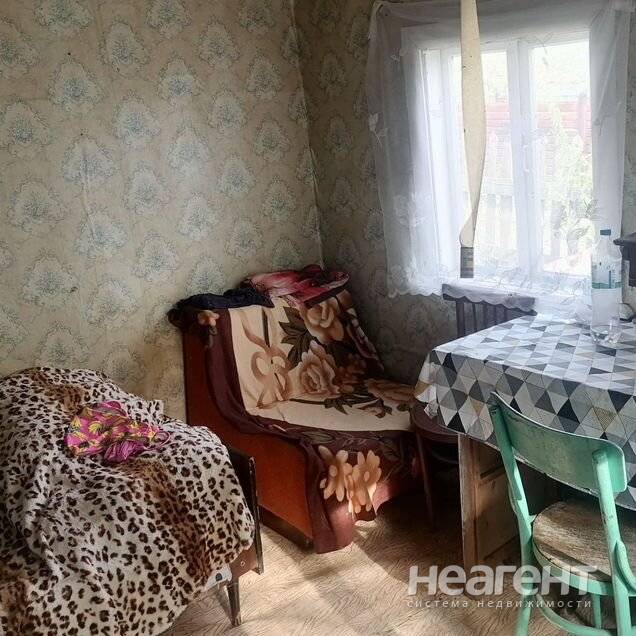 Фотография №4