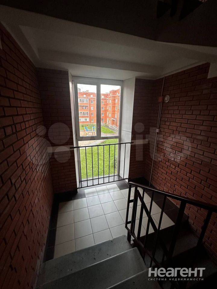 Фотография №3