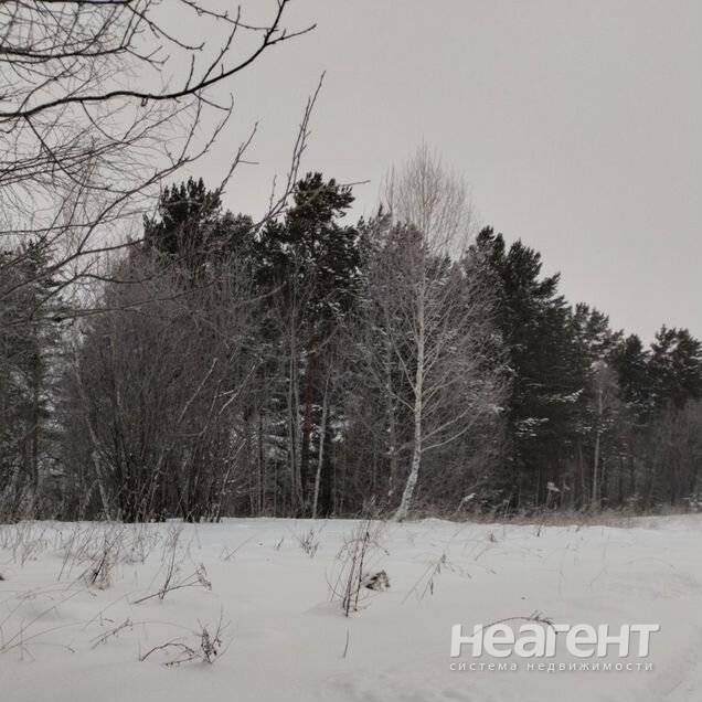 Фотография №2