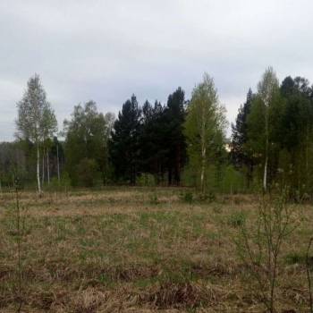 Продается Участок, 600 м²