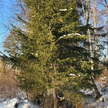 Продается Участок, 1500 м²