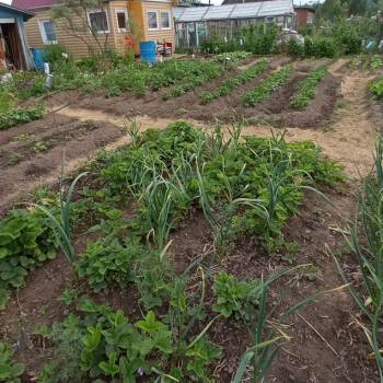 Продается Дом, 24 м²