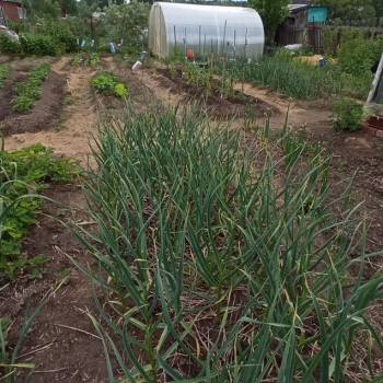 Продается Дом, 24 м²