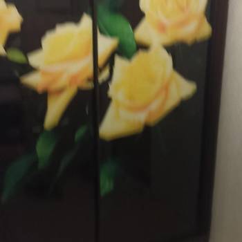 Сдается Комната, 9 м²