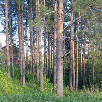 Продается Участок, 950 м²