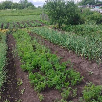 Продается Дом, 55 м²