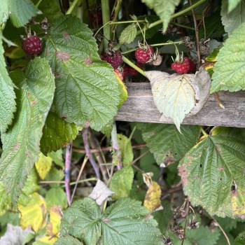 Продается Дом, 18 м²