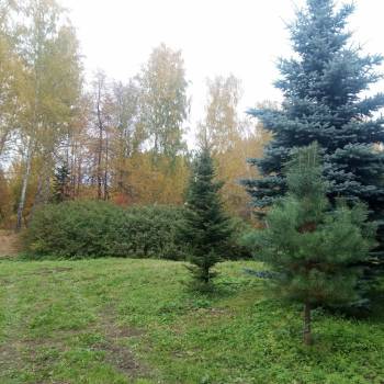 Сдается 2-х комнатная квартира, 48,5 м²