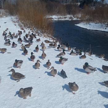 Сдается 2-х комнатная квартира, 48,5 м²