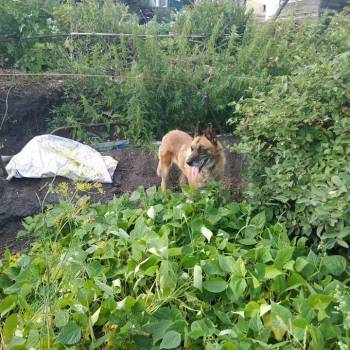 Продается Участок, 570 м²