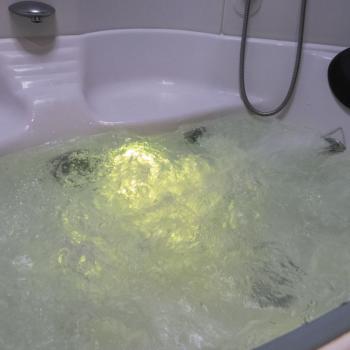 Сдается 2-х комнатная квартира, 55 м²