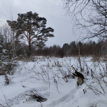 Продается Участок, 1000 м²