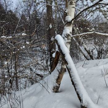 Продается Участок, 1000 м²