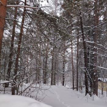 Продается Участок, 1500 м²