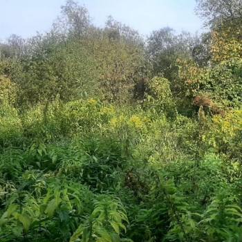 Продается Участок, 800 м²