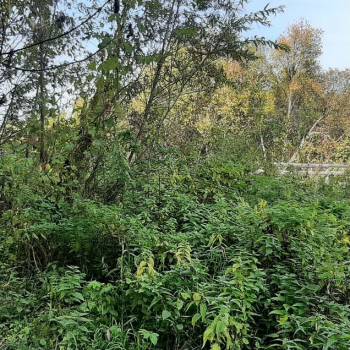 Продается Участок, 800 м²