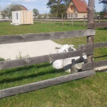 Продается Участок, 1500 м²