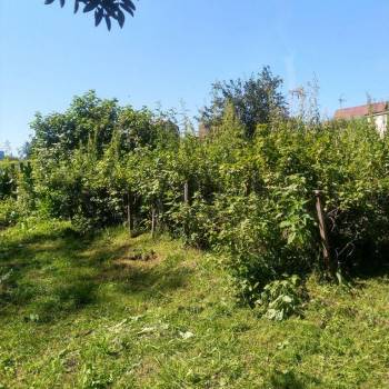 Продается Участок, 800 м²