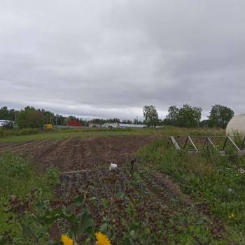 Продается Участок, 3000 м²