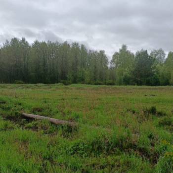 Продается Участок, 1000 м²