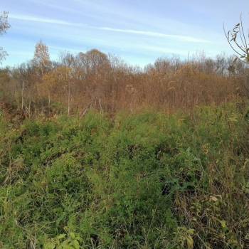 Продается Участок, 1500 м²