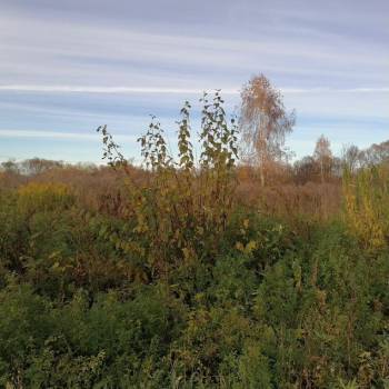 Продается Участок, 1500 м²