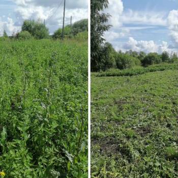 Продается Участок, 1500 м²