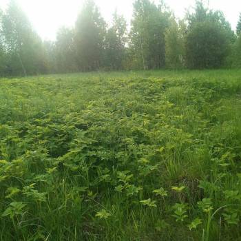 Продается Участок, 600 м²