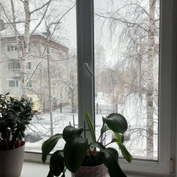 Продается 3-х комнатная квартира, 53,6 м²