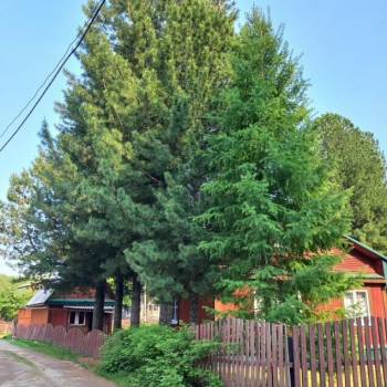 Продается Дом, 28 м²