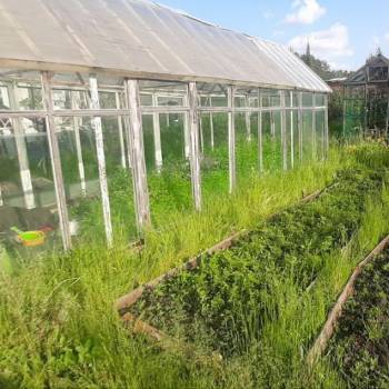 Продается Участок, 330 м²