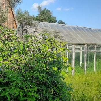 Продается Участок, 330 м²